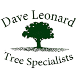 Dave Leonard Tree Specialists
