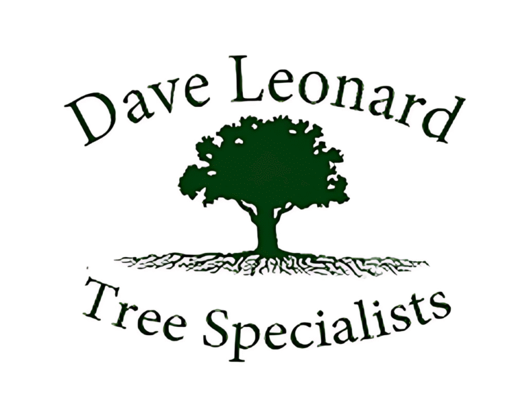 Dave Leonard Tree Specialists